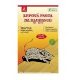 Ekolas ljepljivi sifon na drvenoj podlozi