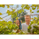 Gardena AssistCut škare za rezidbu