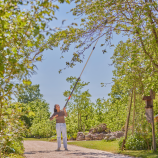 Gardena StarCut Pro L – set, teleskopska šipka za rezidbu s dvostrukom oštricom, pilom i adapterom 12082-20