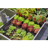 Gardena Micro-Drip-System početni komplet za cvjetnjake / 35 biljaka