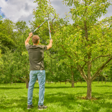 Gardena TeleCut Basic, teleskopske škare za grane za zeleno drvo