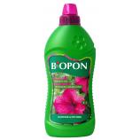 Bopon tekuća surfinija, petunija