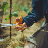 Fiskars univerzalne škare, 21 cm 1075031