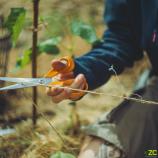 Fiskars univerzalne škare, 21 cm 1075031