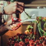 Fiskars univerzalne škare za ljevake, 21 cm 1075035