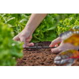 Gardena T-komad za raspršivače / završne prskalice 4,6 mm (3/16")