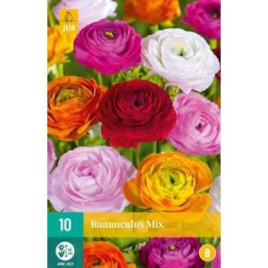 Buttercup Ranunculus Mix "B"