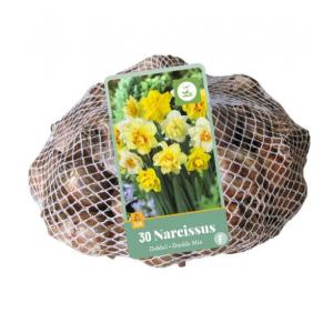 XXL Narcis Double Mix 30 lukovica