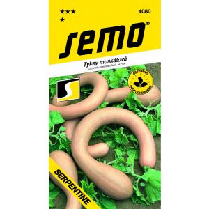 Semo puzavi muškatni oraščić Serpentine F1 2g