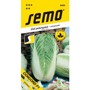 Semo pekinški kupus Concord F1 bačva 50-ih