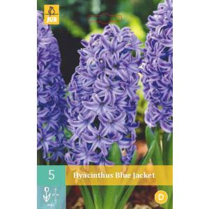 Hyacinth jednostruka plava jakna "C"