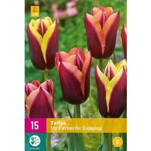 Tulip Moj omiljeni preljev "E"