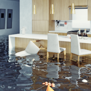 Upotreba pripravka SanoGARDEN nakon poplave