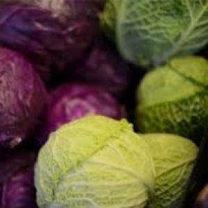 Povrće od kupusa
